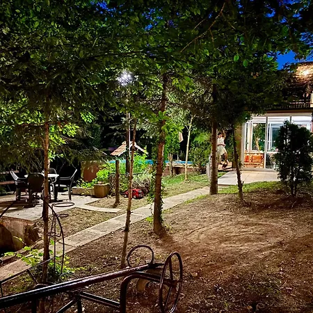 Forest Oasis Slatina