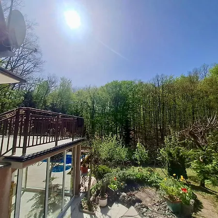 Forest Oasis Vikendica